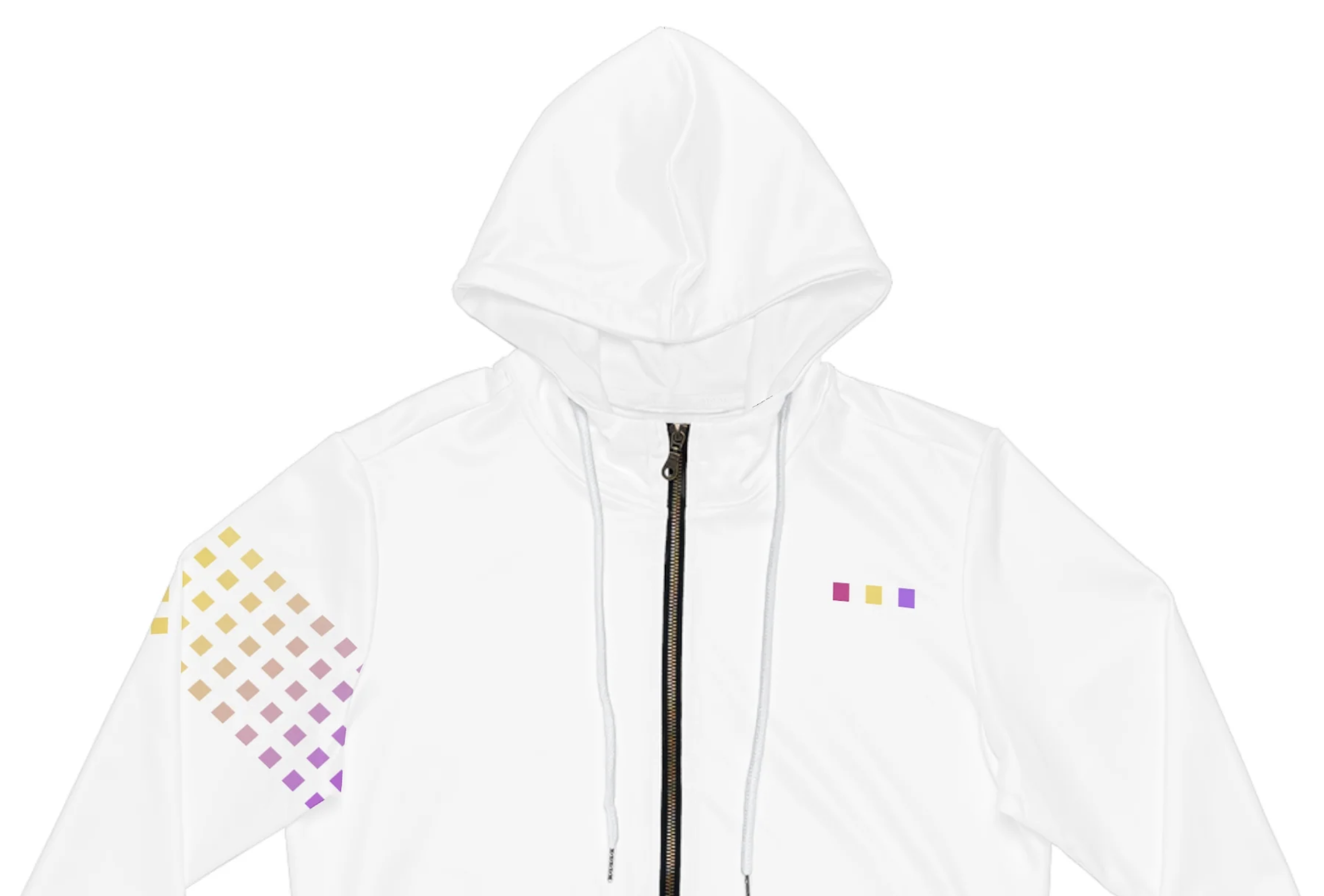 Paladin Punks merch
